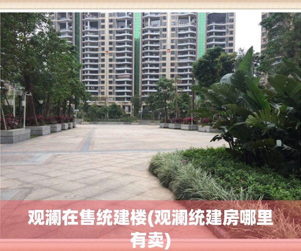 观澜在售统建楼(观澜统建房哪里有卖)