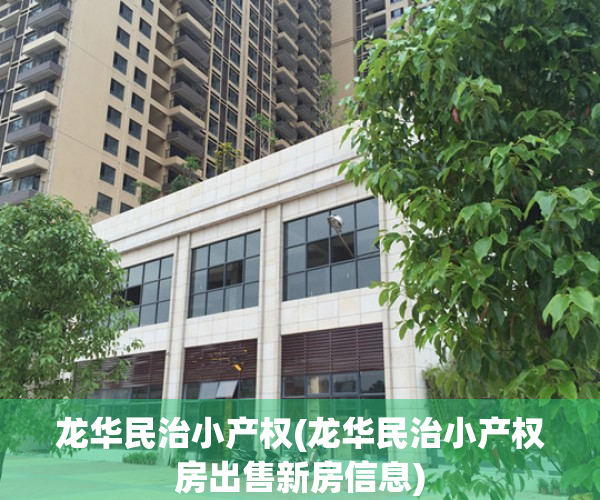 龙华民治小产权(龙华民治小产权房出售新房信息)