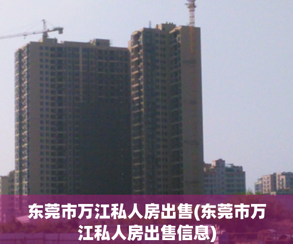 东莞市万江私人房出售(东莞市万江私人房出售信息)