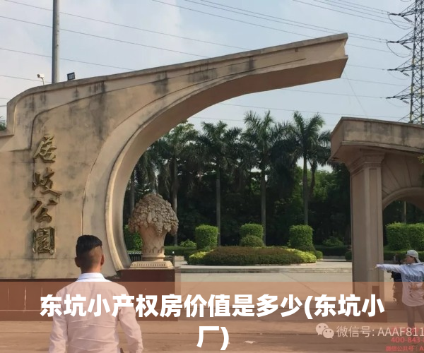 东坑小产权房价值是多少(东坑小厂)