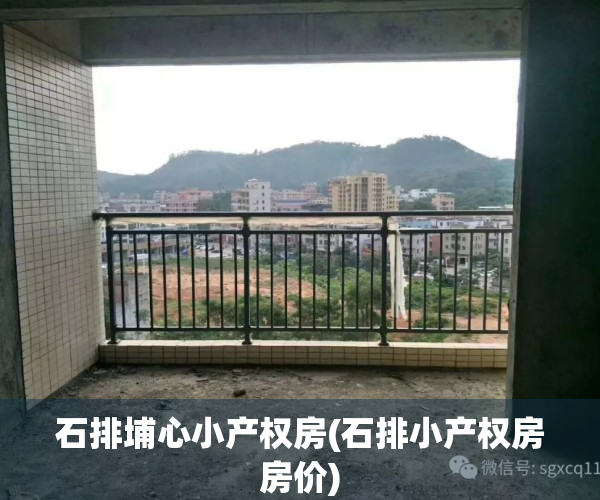 石排埔心小产权房(石排小产权房房价)