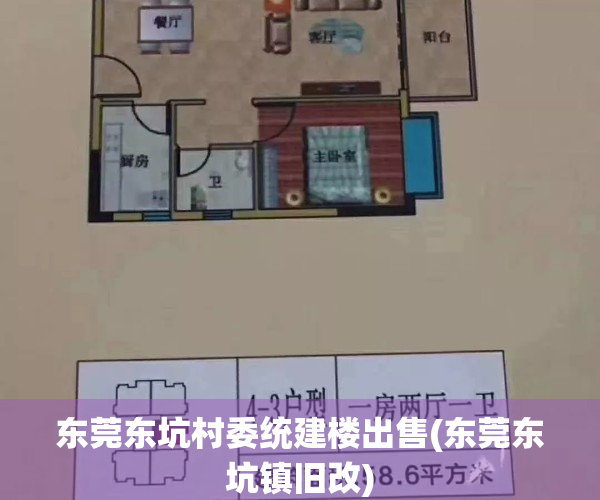 东莞东坑村委统建楼出售(东莞东坑镇旧改)