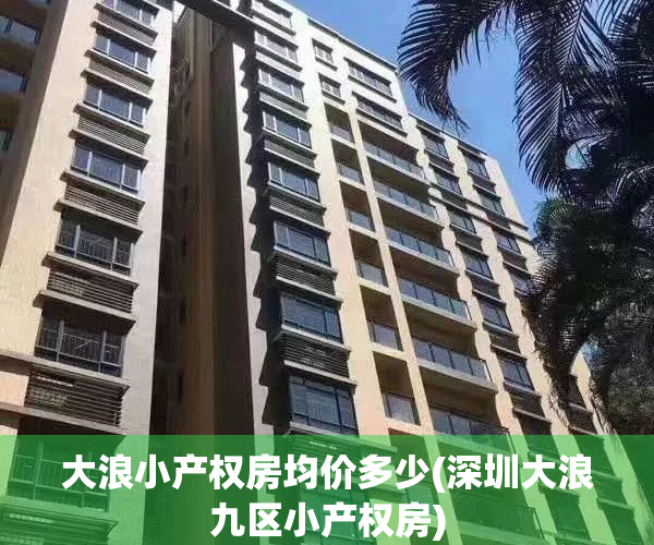 大浪小产权房均价多少(深圳大浪九区小产权房)