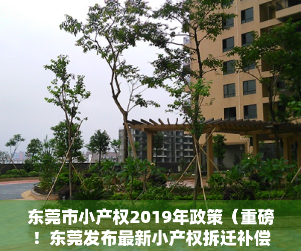 东莞市小产权2019年政策（重磅！东莞发布最新小产权拆迁补偿标准！置换比例最高1075）