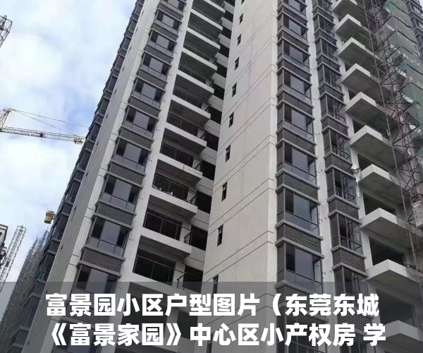 富景园小区户型图片（东莞东城《富景家园》中心区小产权房 学区房地铁口成熟配套单价3888元起）