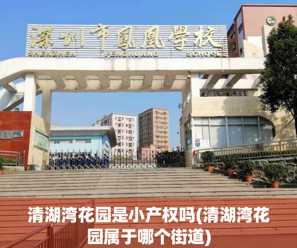 清湖湾花园是小产权吗(清湖湾花园属于哪个街道)