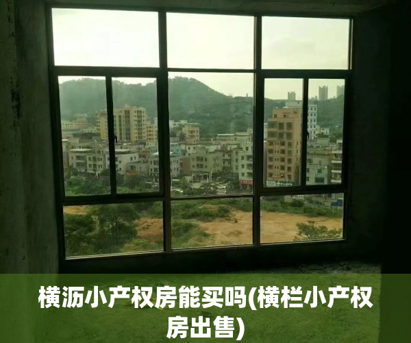 横沥小产权房能买吗(横栏小产权房出售)