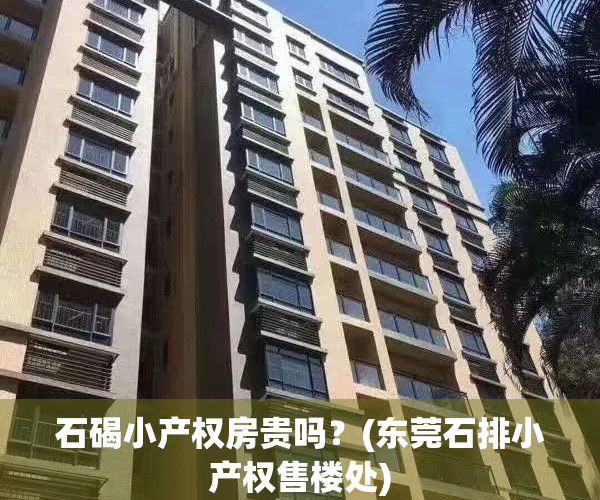 石碣小产权房贵吗？(东莞石排小产权售楼处)