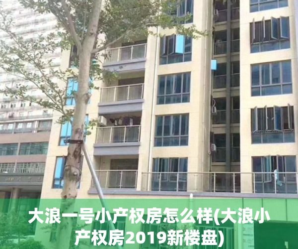 大浪一号小产权房怎么样(大浪小产权房2019新楼盘)