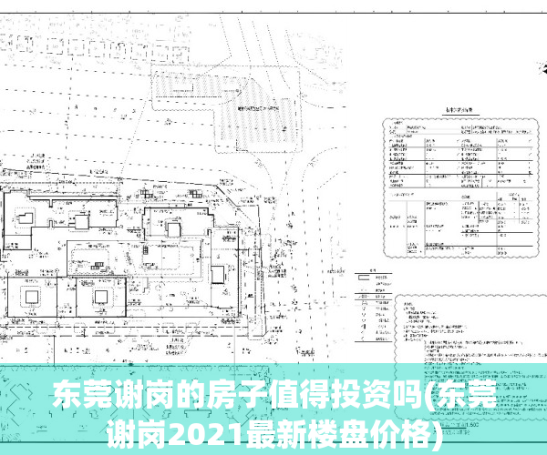 东莞谢岗的房子值得投资吗(东莞谢岗2021最新楼盘价格)