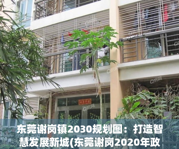 东莞谢岗镇2030规划图：打造智慧发展新城(东莞谢岗2020年政府规划图)