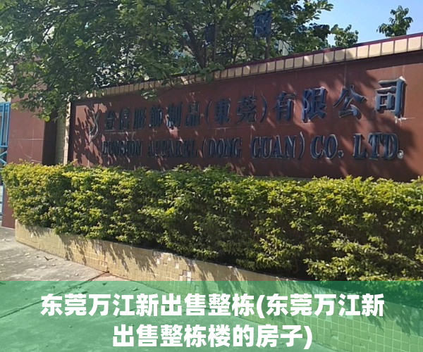 东莞万江新出售整栋(东莞万江新出售整栋楼的房子)