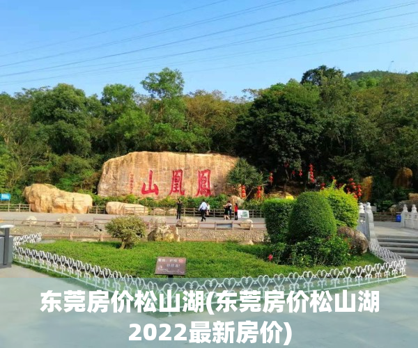 东莞房价松山湖(东莞房价松山湖2022最新房价)