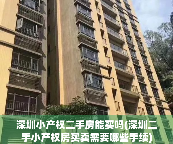 深圳小产权二手房能买吗(深圳二手小产权房买卖需要哪些手续)