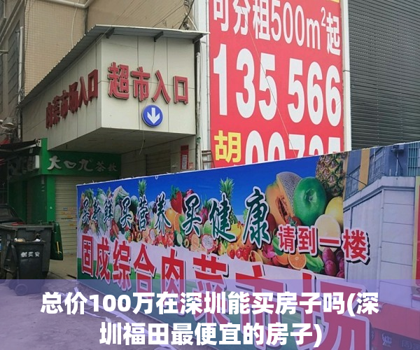 总价100万在深圳能买房子吗(深圳福田最便宜的房子)