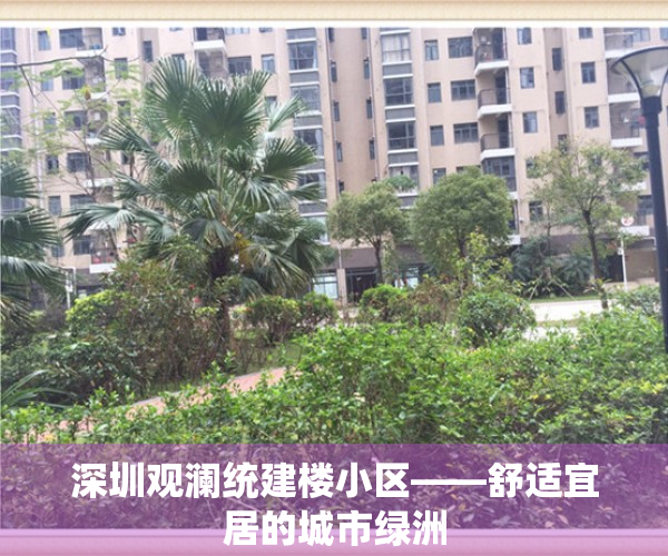 深圳观澜统建楼小区——舒适宜居的城市绿洲