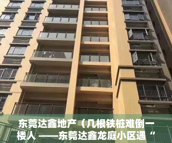 东莞达鑫地产（几根铁桩难倒一楼人 ——东莞达鑫龙庭小区遇“双重停车费”问题）