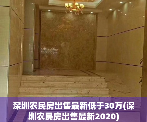 深圳农民房出售最新低于30万(深圳农民房出售最新2020)