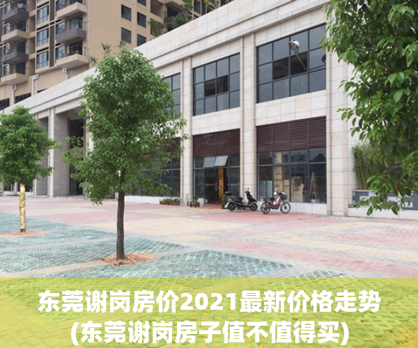 东莞谢岗房价2021最新价格走势(东莞谢岗房子值不值得买)