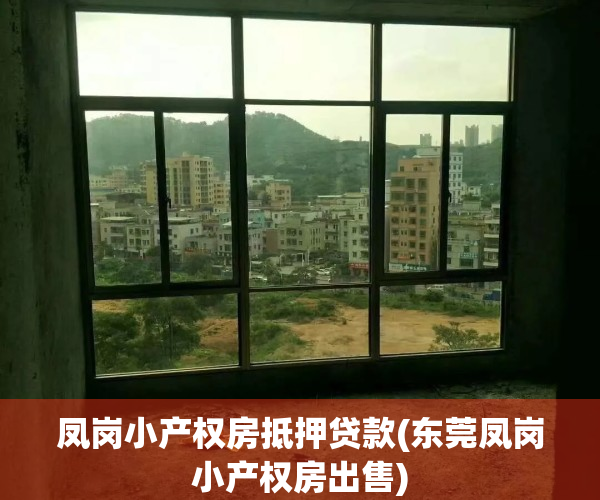 凤岗小产权房抵押贷款(东莞凤岗小产权房出售)