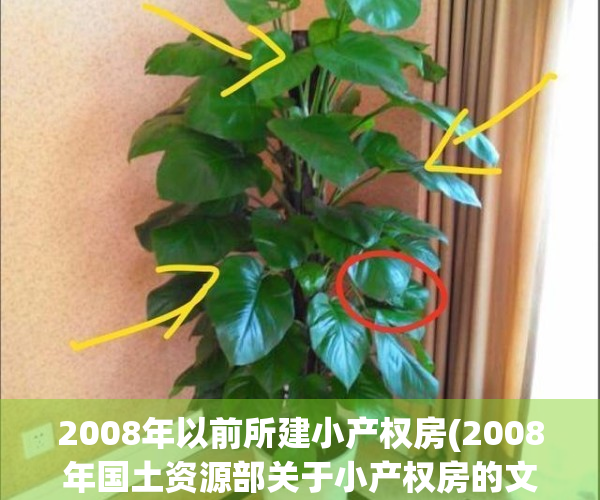 2008年以前所建小产权房(2008年国土资源部关于小产权房的文件规定)