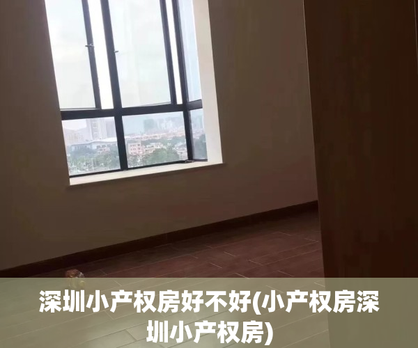 深圳小产权房好不好(小产权房深圳小产权房)