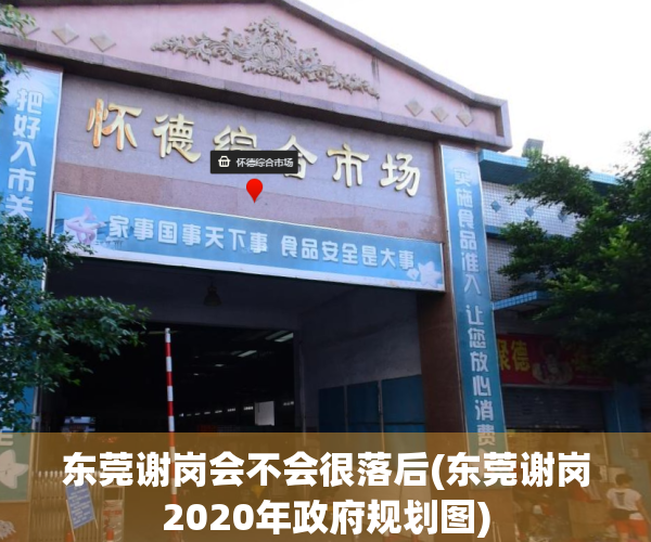 东莞谢岗会不会很落后(东莞谢岗2020年政府规划图)