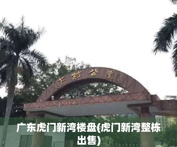 广东虎门新湾楼盘(虎门新湾整栋出售)