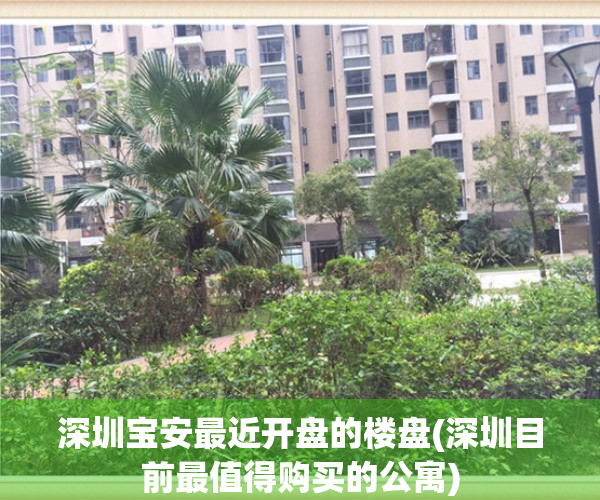 深圳宝安最近开盘的楼盘(深圳目前最值得购买的公寓)