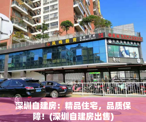 深圳自建房：精品住宅，品质保障！(深圳自建房出售)