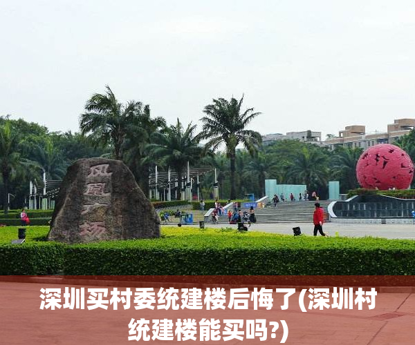 深圳买村委统建楼后悔了(深圳村统建楼能买吗?)