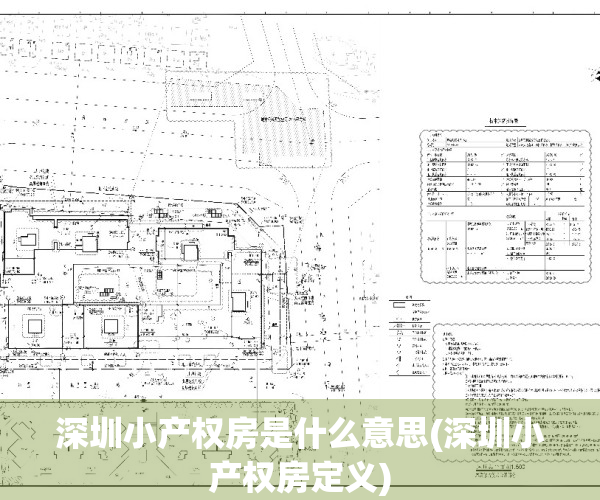 深圳小产权房是什么意思(深圳小产权房定义)