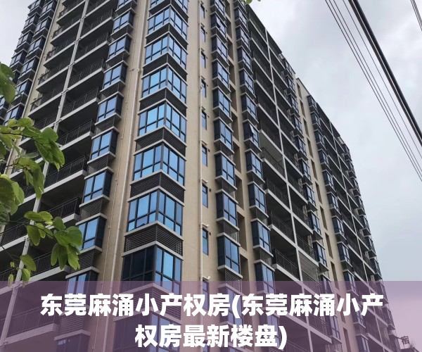 东莞麻涌小产权房(东莞麻涌小产权房最新楼盘)