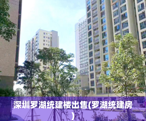 深圳罗湖统建楼出售(罗湖统建房)