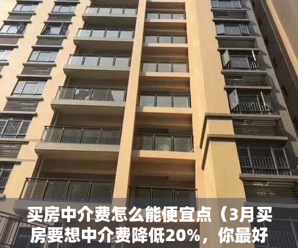 买房中介费怎么能便宜点（3月买房要想中介费降低20%，你最好掌握这5个小技巧！）