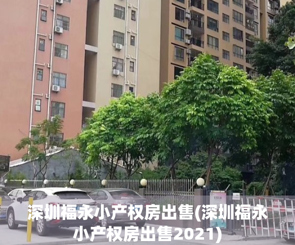 深圳福永小产权房出售(深圳福永小产权房出售2021)