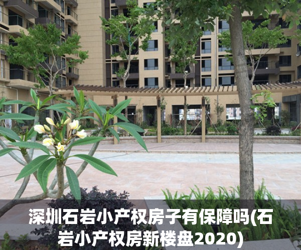 深圳石岩小产权房子有保障吗(石岩小产权房新楼盘2020)