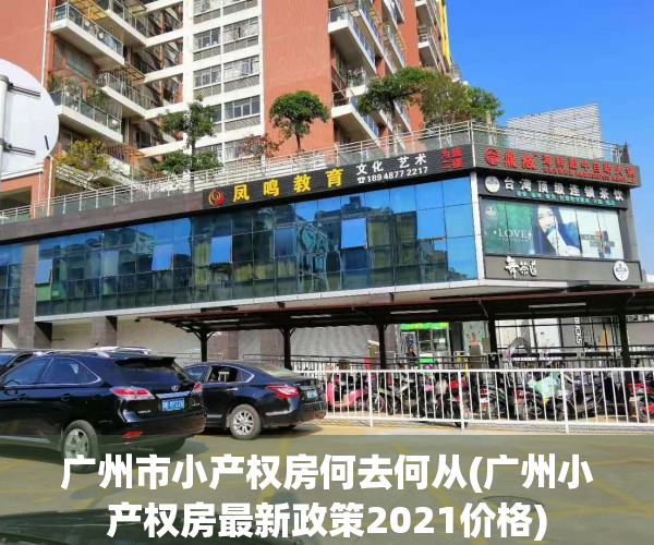 广州市小产权房何去何从(广州小产权房最新政策2021价格)