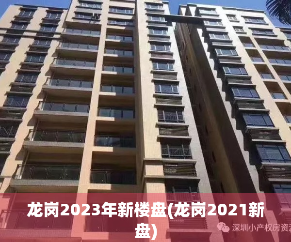 龙岗2023年新楼盘(龙岗2021新盘)