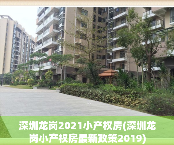 深圳龙岗2021小产权房(深圳龙岗小产权房最新政策2019)