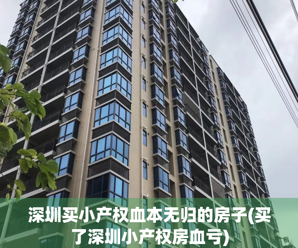 深圳买小产权血本无归的房子(买了深圳小产权房血亏)