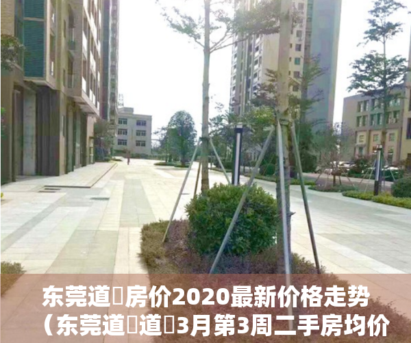 东莞道滘房价2020最新价格走势（东莞道滘道滘3月第3周二手房均价20853元平，环比微跌，看哪个小区有潜力？）