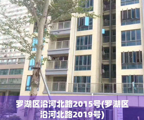 罗湖区沿河北路2015号(罗湖区沿河北路2019号)