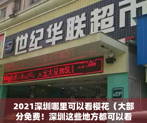 2021深圳哪里可以看樱花（大部分免费！深圳这些地方都可以看樱花，有你家附近的吗？）