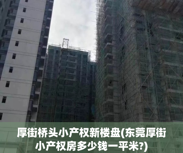 厚街桥头小产权新楼盘(东莞厚街小产权房多少钱一平米?)