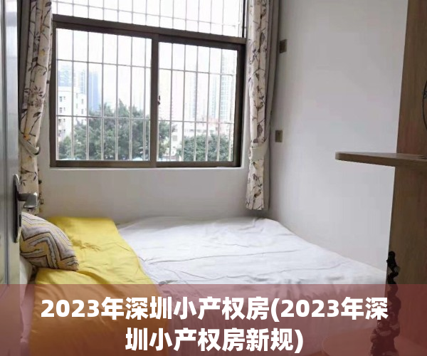 2023年深圳小产权房(2023年深圳小产权房新规)