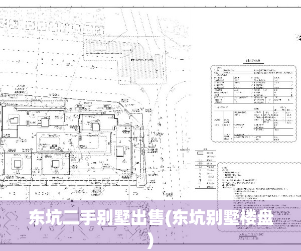 东坑二手别墅出售(东坑别墅楼盘)