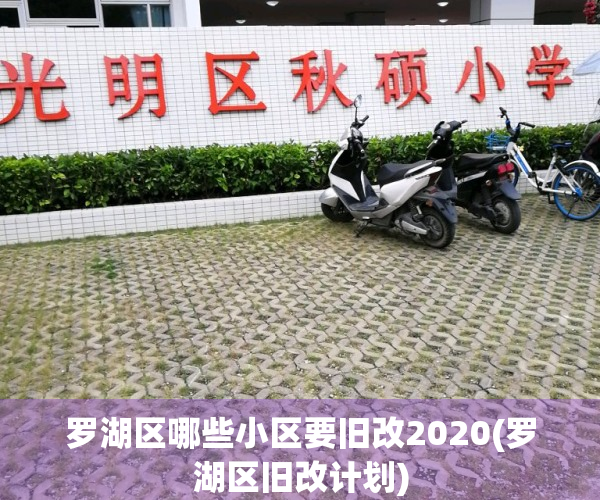 罗湖区哪些小区要旧改2020(罗湖区旧改计划)