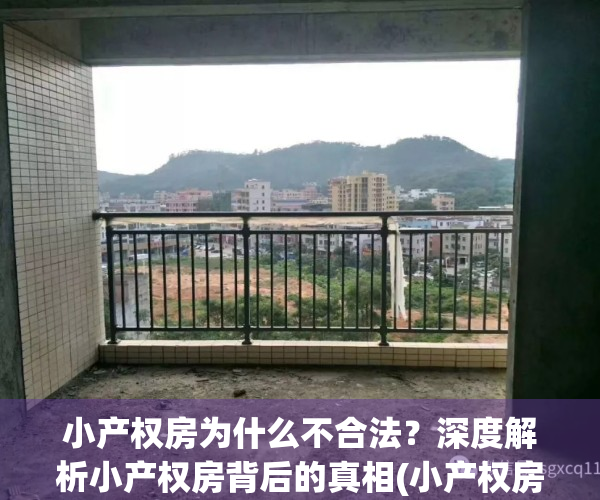 小产权房为什么不合法？深度解析小产权房背后的真相(小产权房为什么不能合法化)