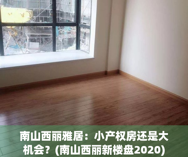 南山西丽雅居：小产权房还是大机会？(南山西丽新楼盘2020)